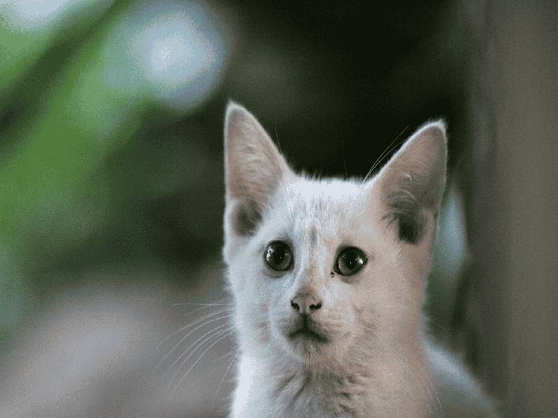 衡水试管几万试管失败好多次暖阳镜试管